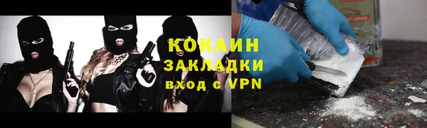 МДПВ Каменка