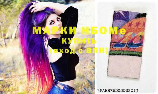 МДПВ Каменка