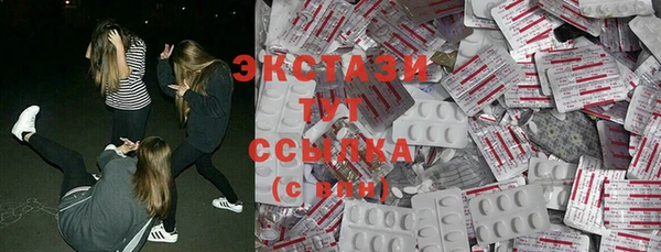 МДПВ Каменка