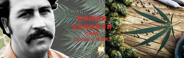 первитин Каменногорск