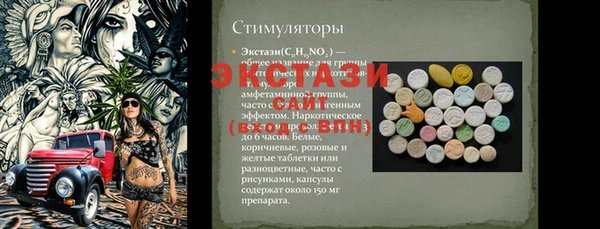 МДПВ Каменка