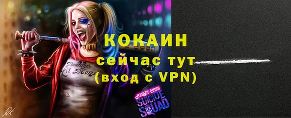 МДПВ Каменка
