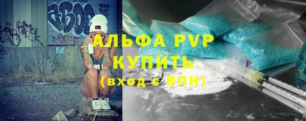 МДПВ Каменка