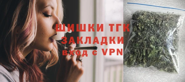 МДПВ Каменка