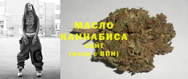 МДПВ Каменка