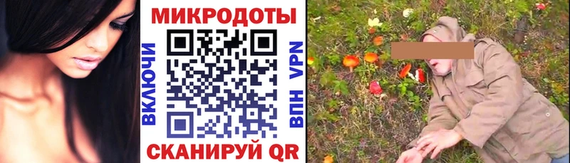 Галлюциногенные грибы мицелий  Купить где  Светогорск 